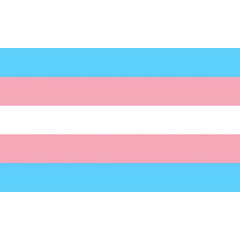 PRIDE - TRANSEXUAL FLAG 90 X 150