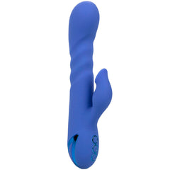 CALEXOTICS - LA LOVE VIBRATOR & SUCKER BLUE BY CALIFORNIA DREAMING