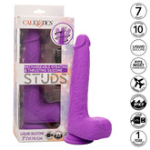 CALEXOTICS - ROTARY AND RECHARGEABLE VIBRATOR STUDS 10 VIBRATIONS PURPLE