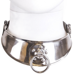 HARD METAL - RETAINING COLLAR WITH RING