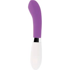 GLOSSY - JOHN PURPLE VIBRATOR