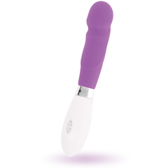 GLOSSY - PAUL PURPLE VIBRATOR
