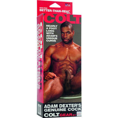 CALEXOTICS - REALISTIC COLT ADAM DEXTER PENIS