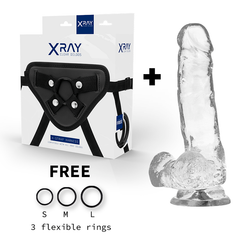 X RAY - HARNESS + TRANSPARENT DILDO WITH BALLS 18.5 CM -O- 3.8 CM