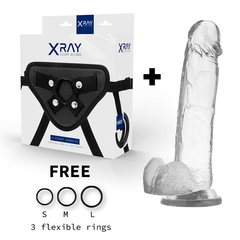 X RAY - ARNÊS + DILDO COM BOLAS 22 CM -O- 4.6 CM
