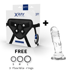 X RAY - HARNESS + TRANSPARENT DILDO 12 CM -O- 2.6 CM
