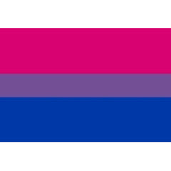 PRIDE - PULSEIRA BANDEIRA BISSEXUAL 90 X 150