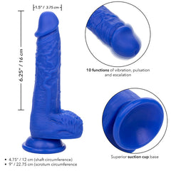 CALEXOTICS - ADMIRAL SAILOR REALISTIC BLUE VIBRATING DILDO