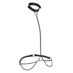 CALEXOTICS - EUPHORIA COLEIRA E TRELA DE CORRENTE