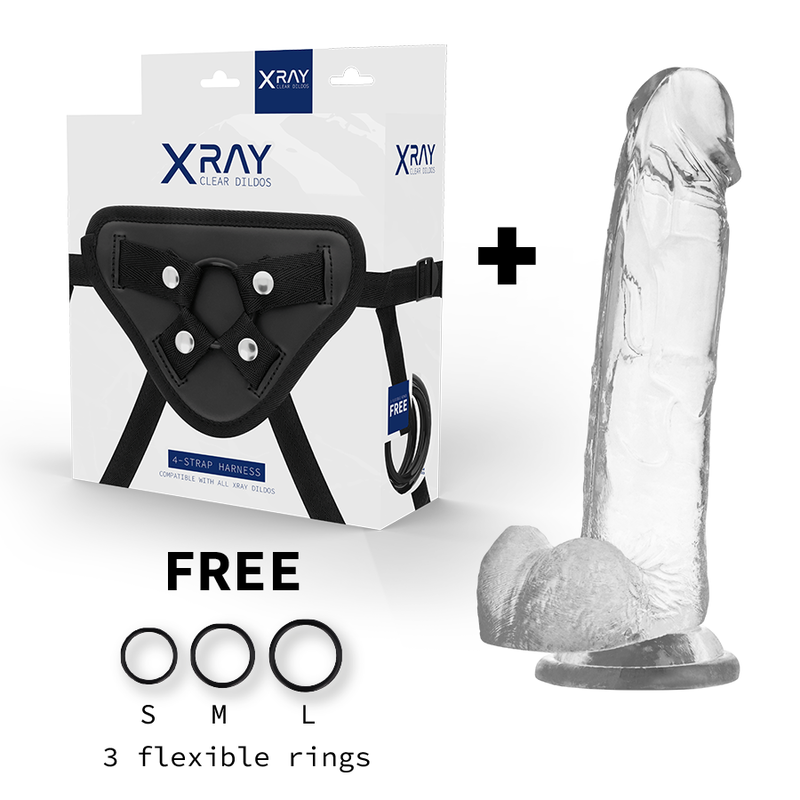 X RAY - HARNESS + DILDO WITH BALLS 22 CM -O- 4.6 CM
